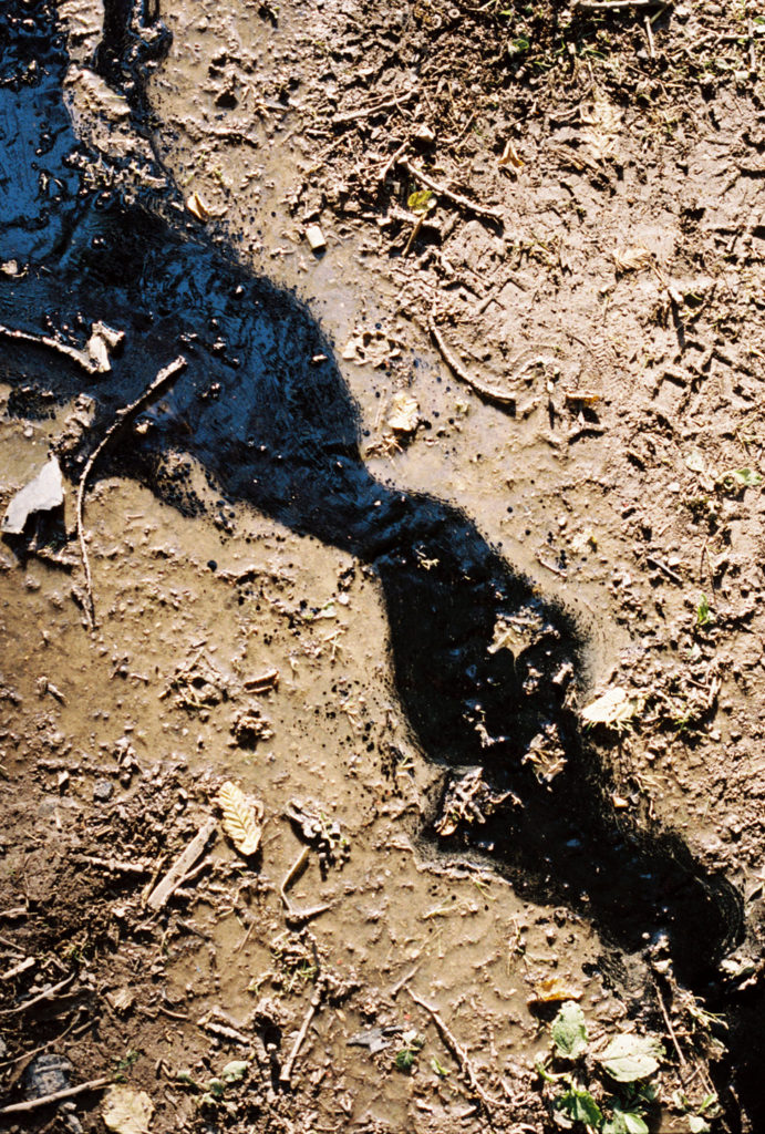 shadow muddy floor foxhall stadium