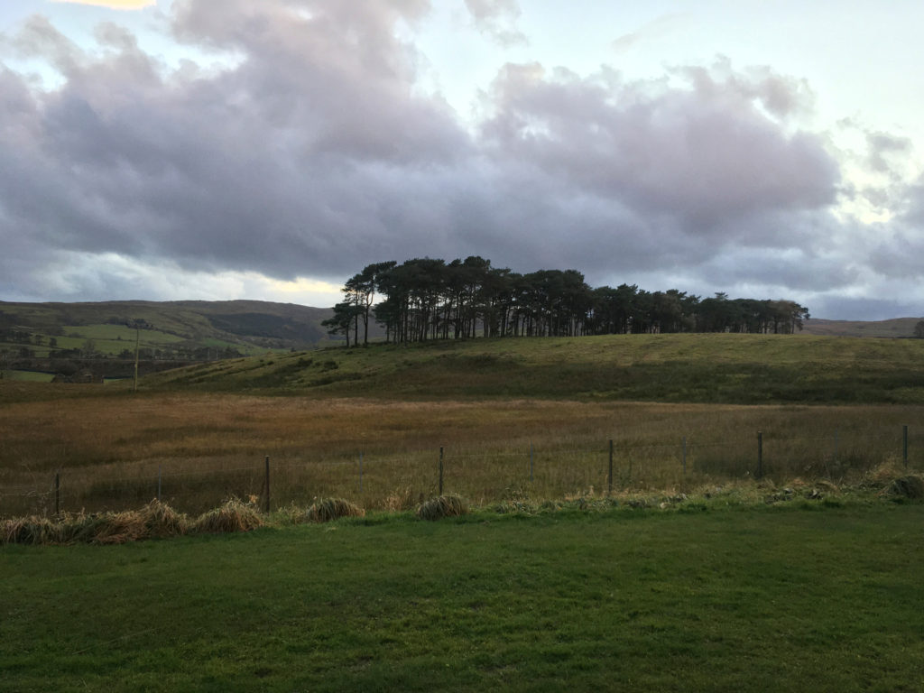 countryside trees tebay motorway services m6 northbound