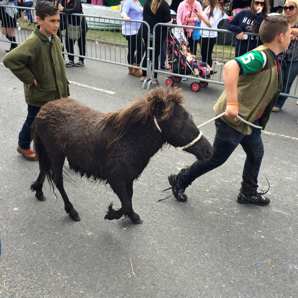 two boys walking with small horse wickham horsefair hampshire