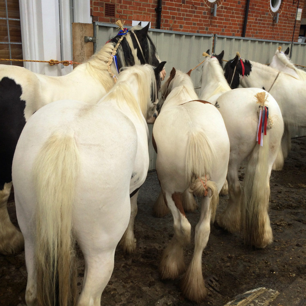 white horses wickham horsefair hampshire