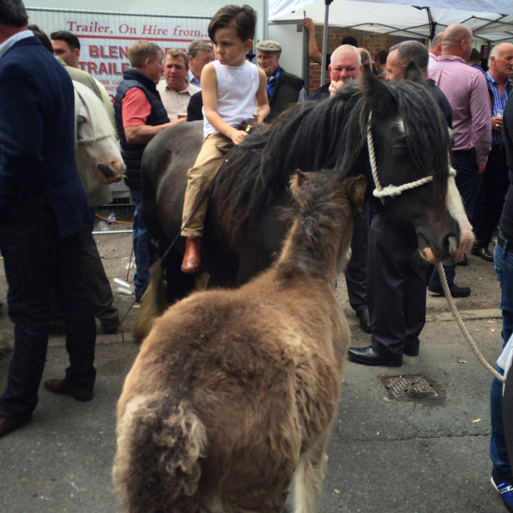 child riding horse wickham horsefair