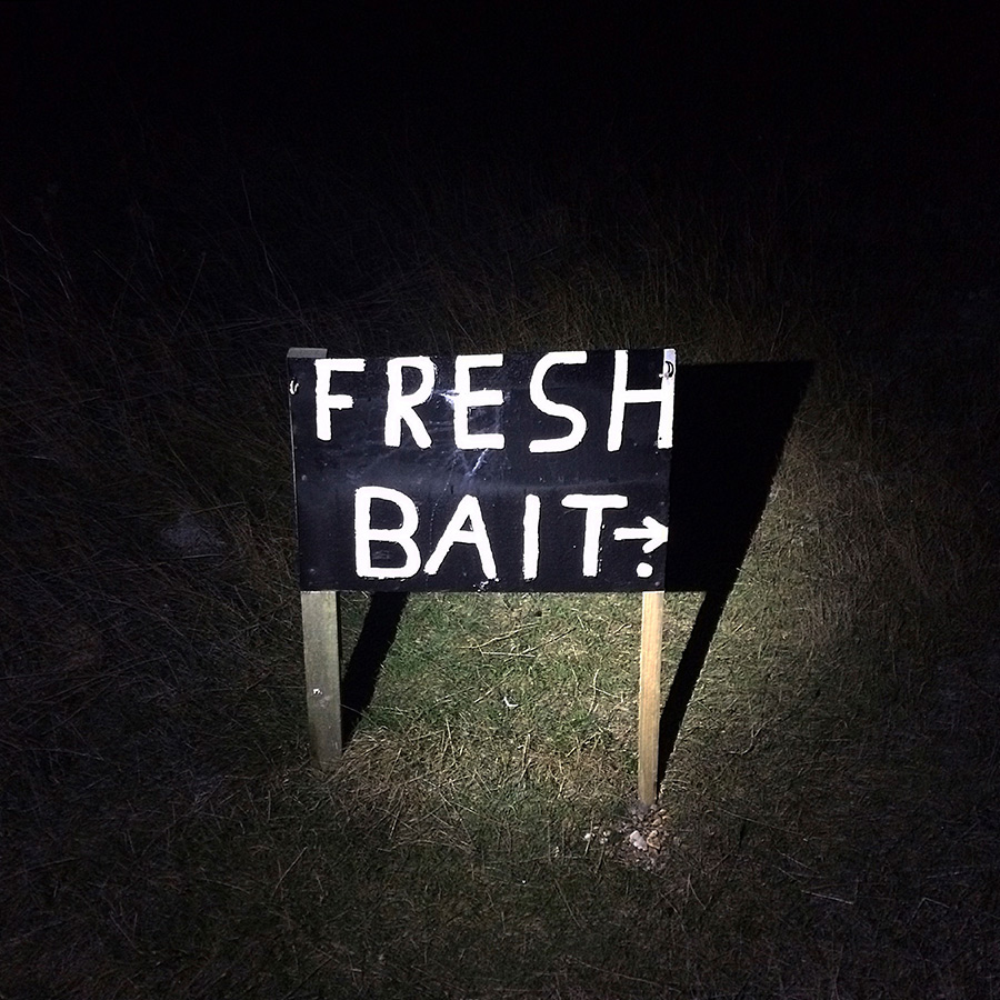 fresh bait sign post nighttime the coracle