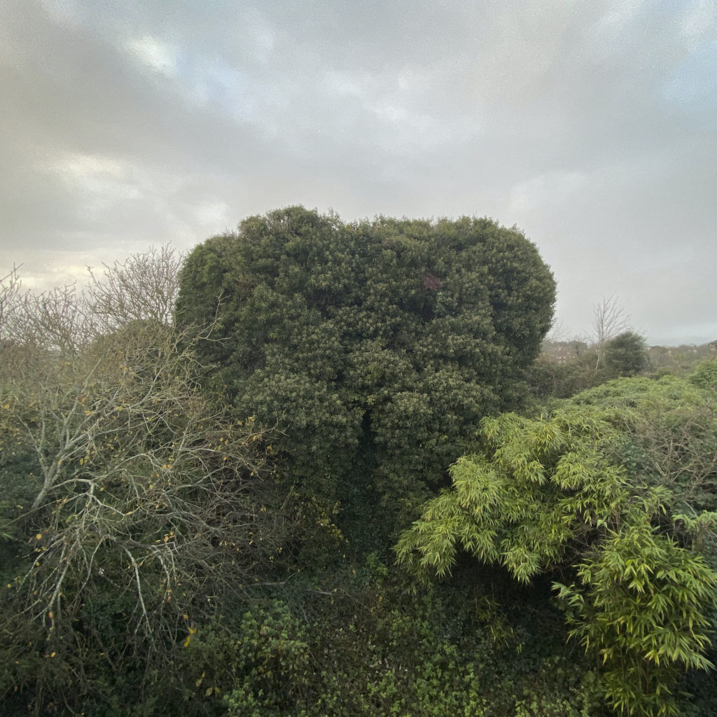 martello tower no 4 folkestone