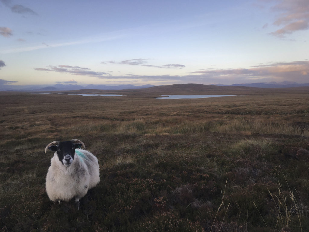 Peat Outer Hebrides